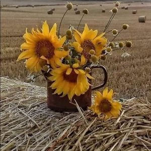 Meet your Posher, JC